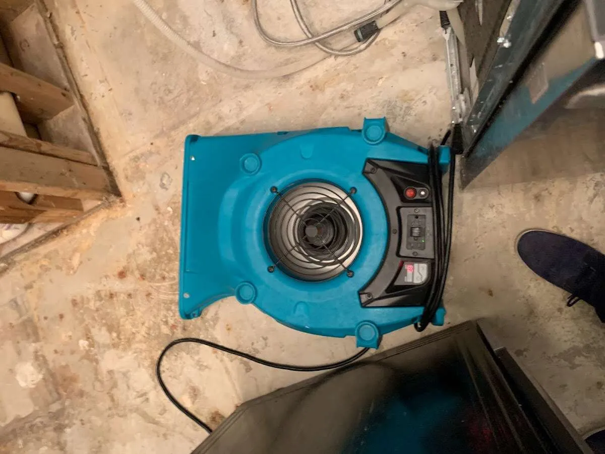 Air mover drying equipment for Mold Remediation & Removal in Bloomingdale